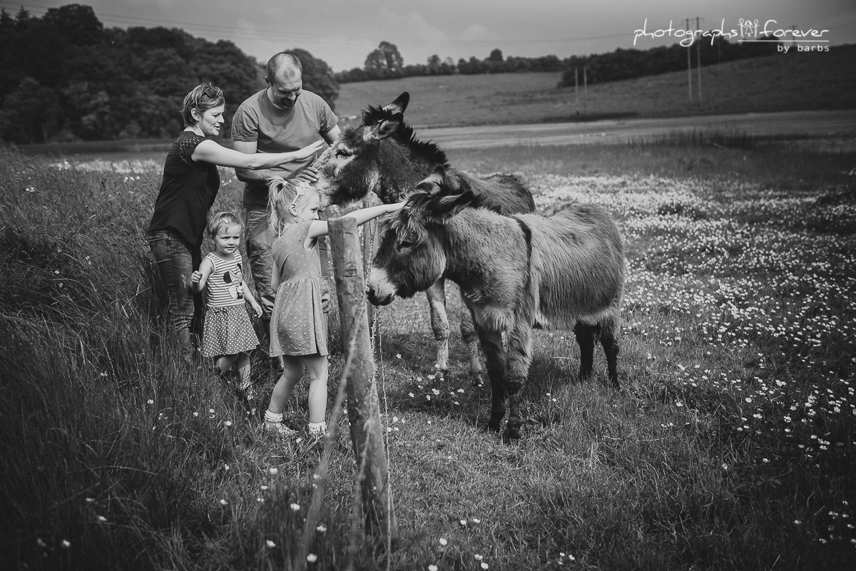 family photographer in Monaghan