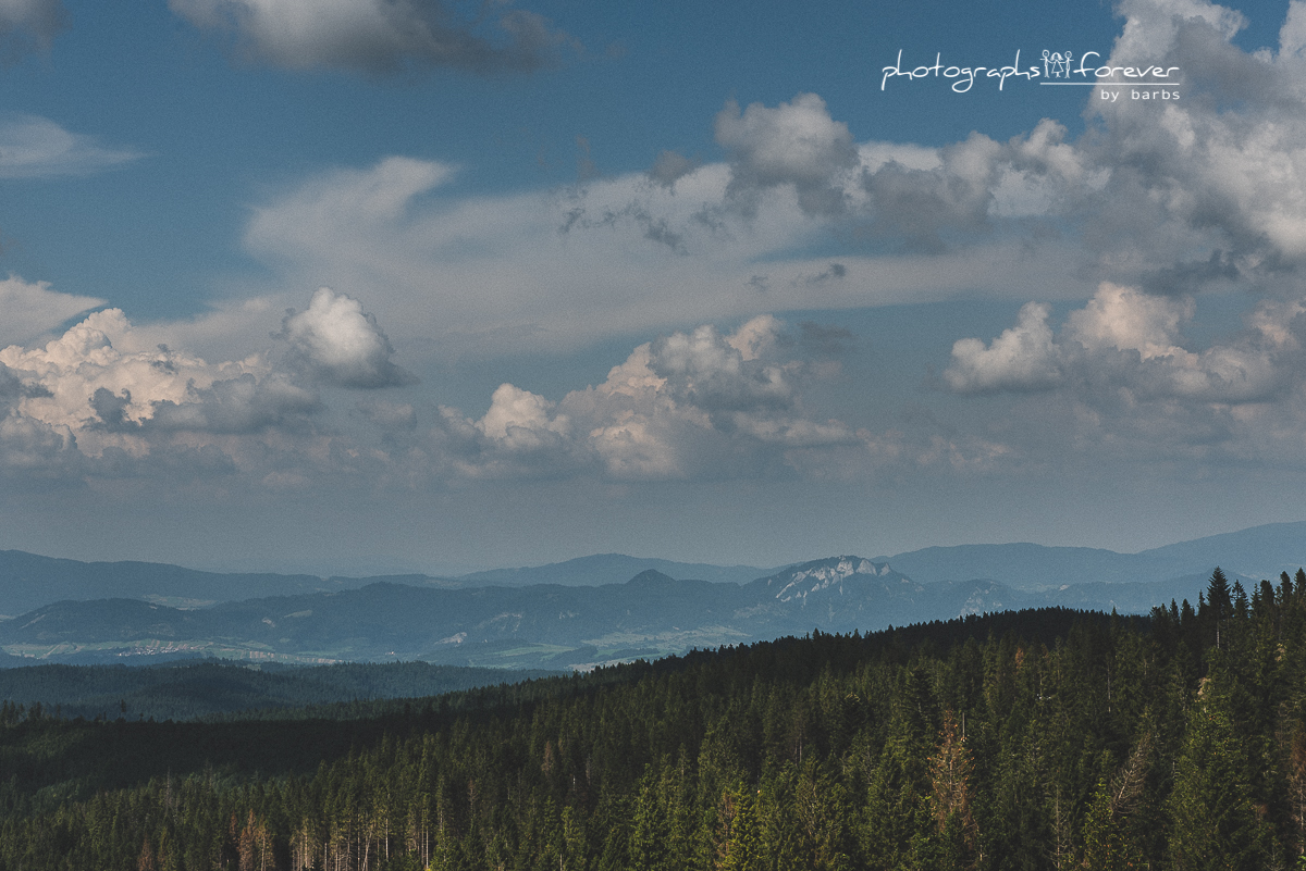 Bachledkova Bachledka Mountains Scieżka koronami drzew słowacja