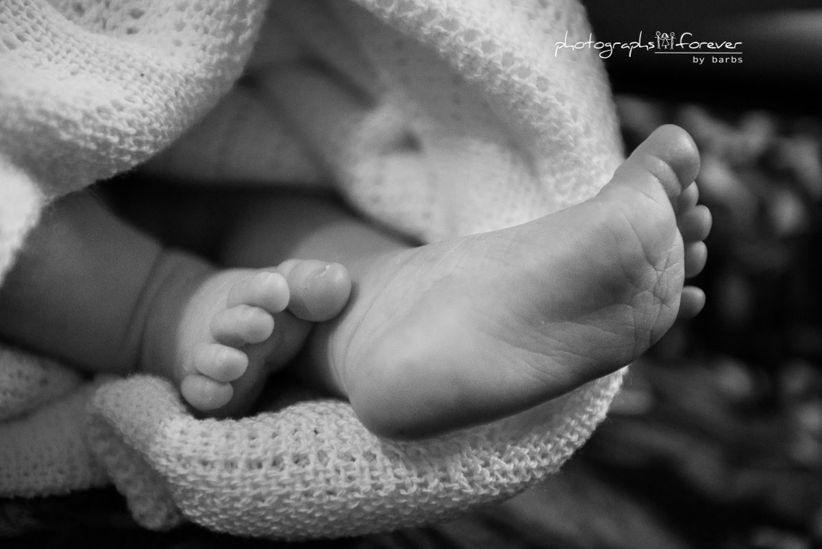 newborn photography family photographs portraits