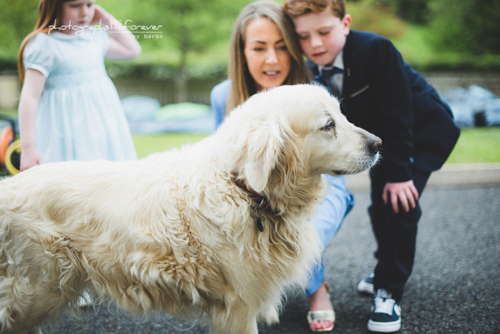 first communion photography monaghan